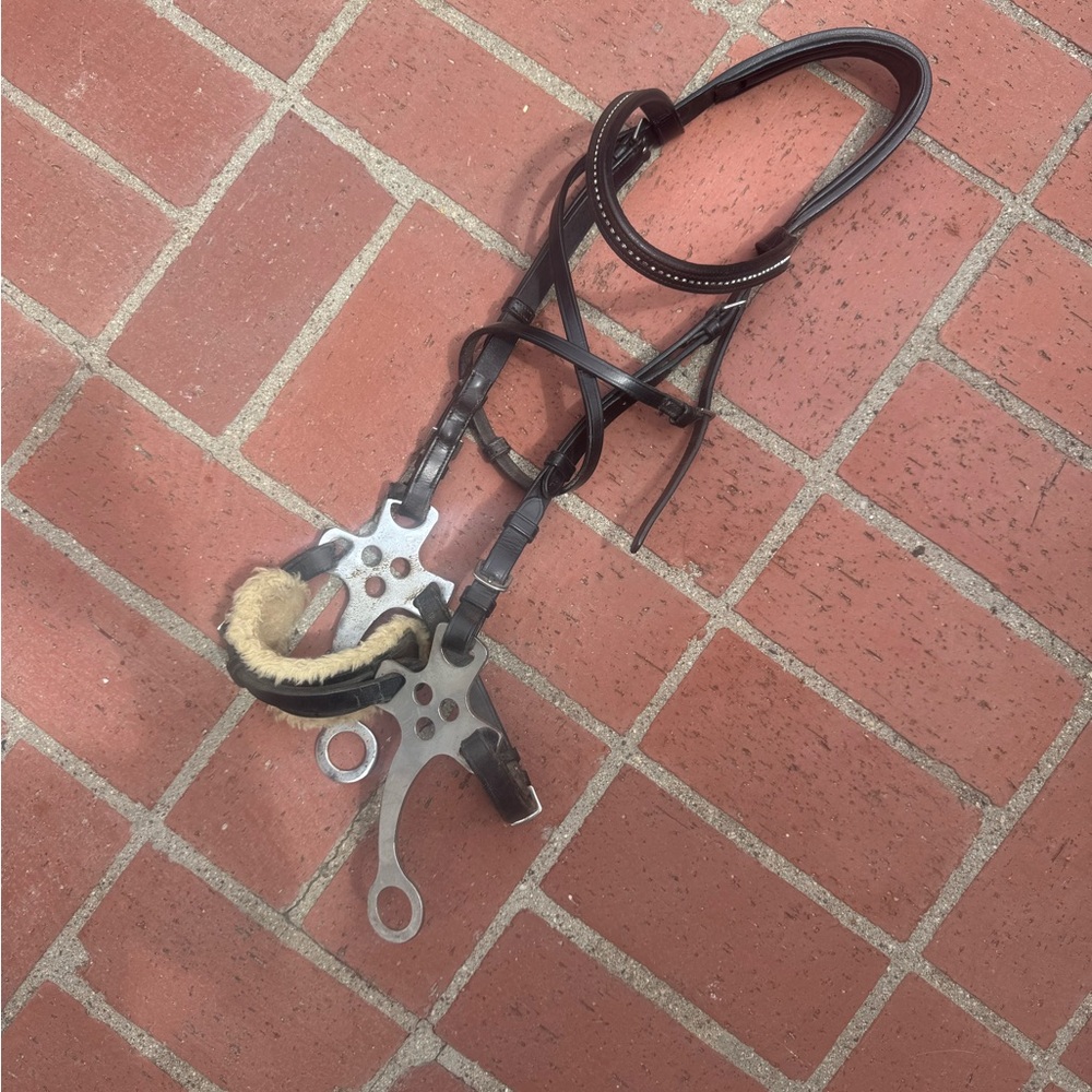 G. Passier & Sohn’s Headstall w/ Hackamore attachment